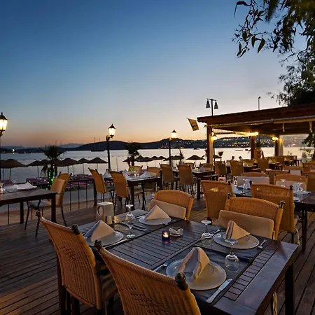 Hotel Ladonia Delmare 2*