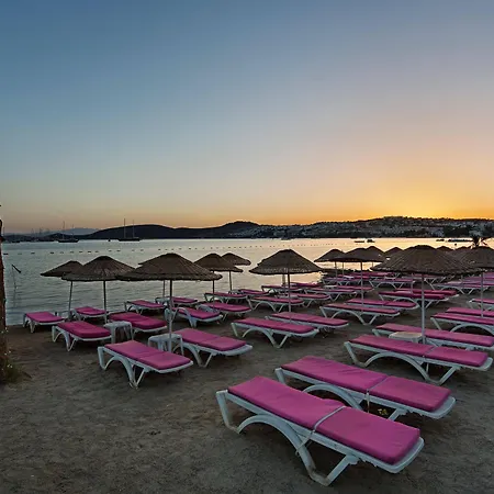 Ladonia Delmare Hotel 2*